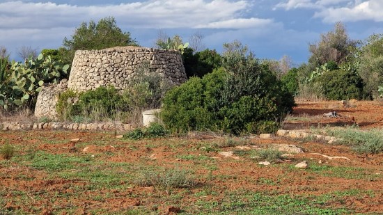 Agricolo - Terreno Agricolo - Mq:13000 - Bagni: